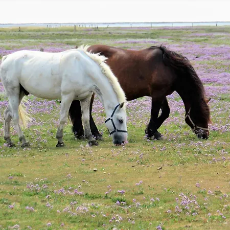 Uns To Hus Bootjefahrt * Juist